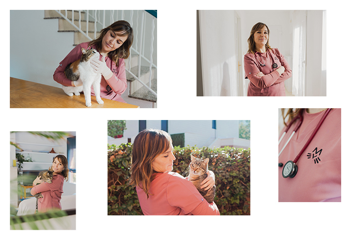 Fotografías
para Mervet